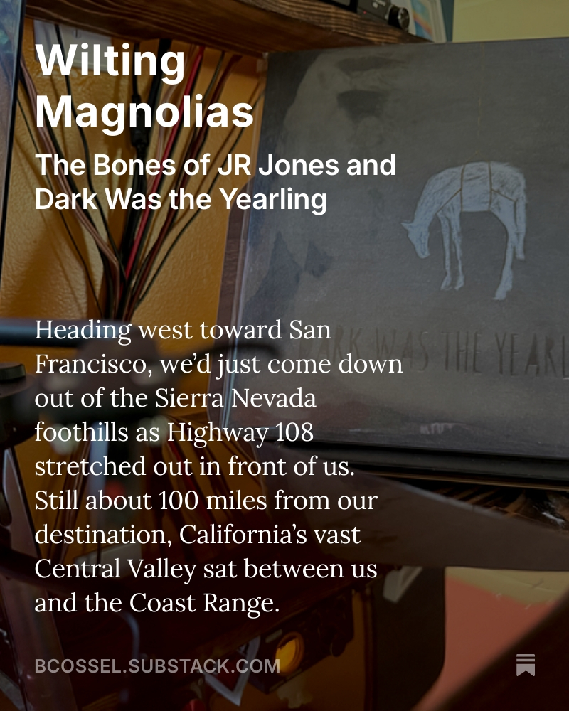 bcossel's tweet photo. "The soothing voice that carried a song of sadness like a southern gothic magnolia both blooming and wilting before your eyes." 

Read it now - https://t.co/wV7MXgCtJI https://t.co/anvCsTro0N
