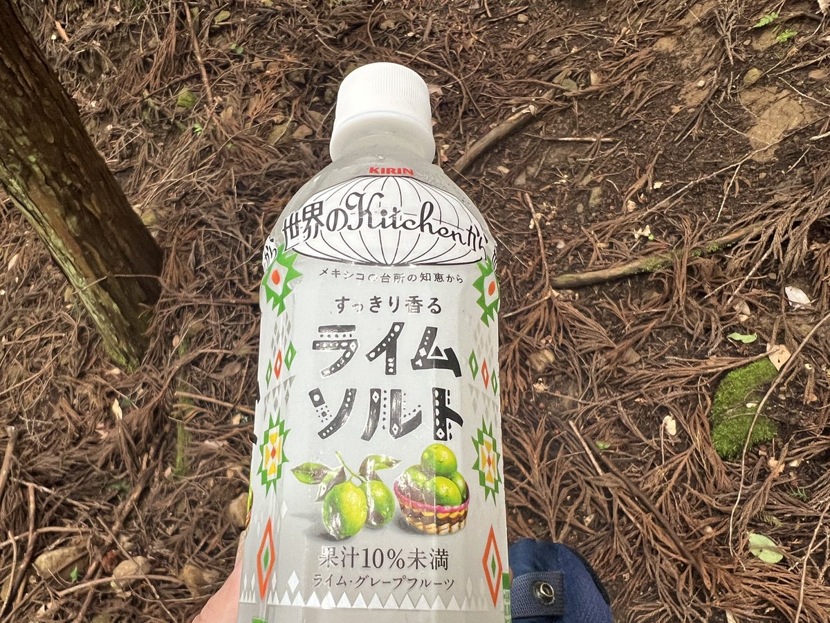 りょむ ✳︎プロフィール必読✳︎　Bottle TREE 今日は童話の里のシンボルを山歩き中‼️ 水分補給＆熱中症予防🥵の