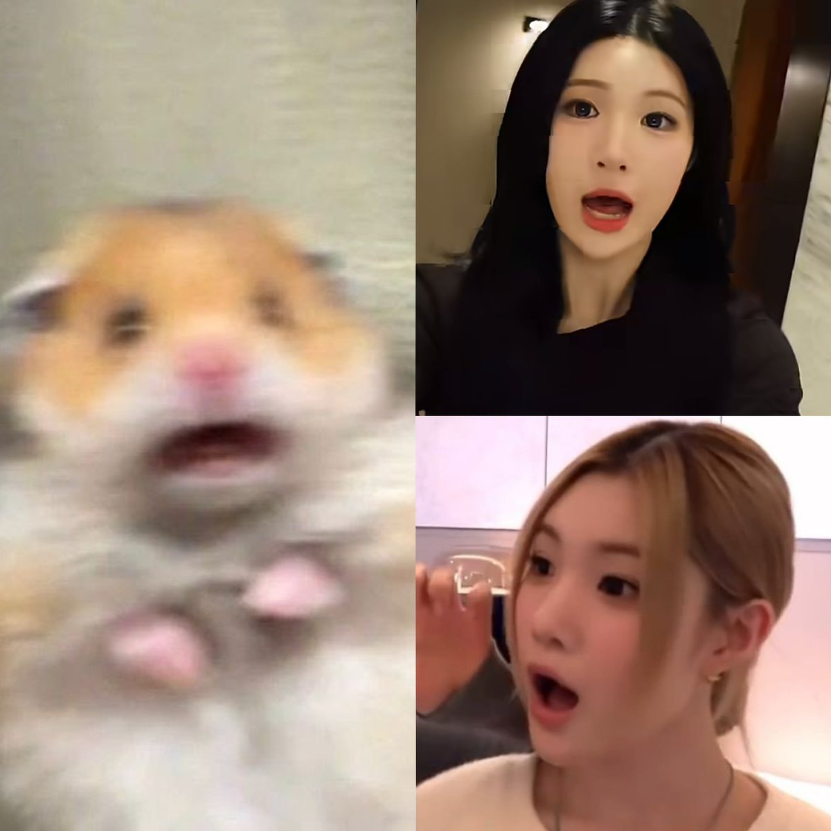 린린 tweet media