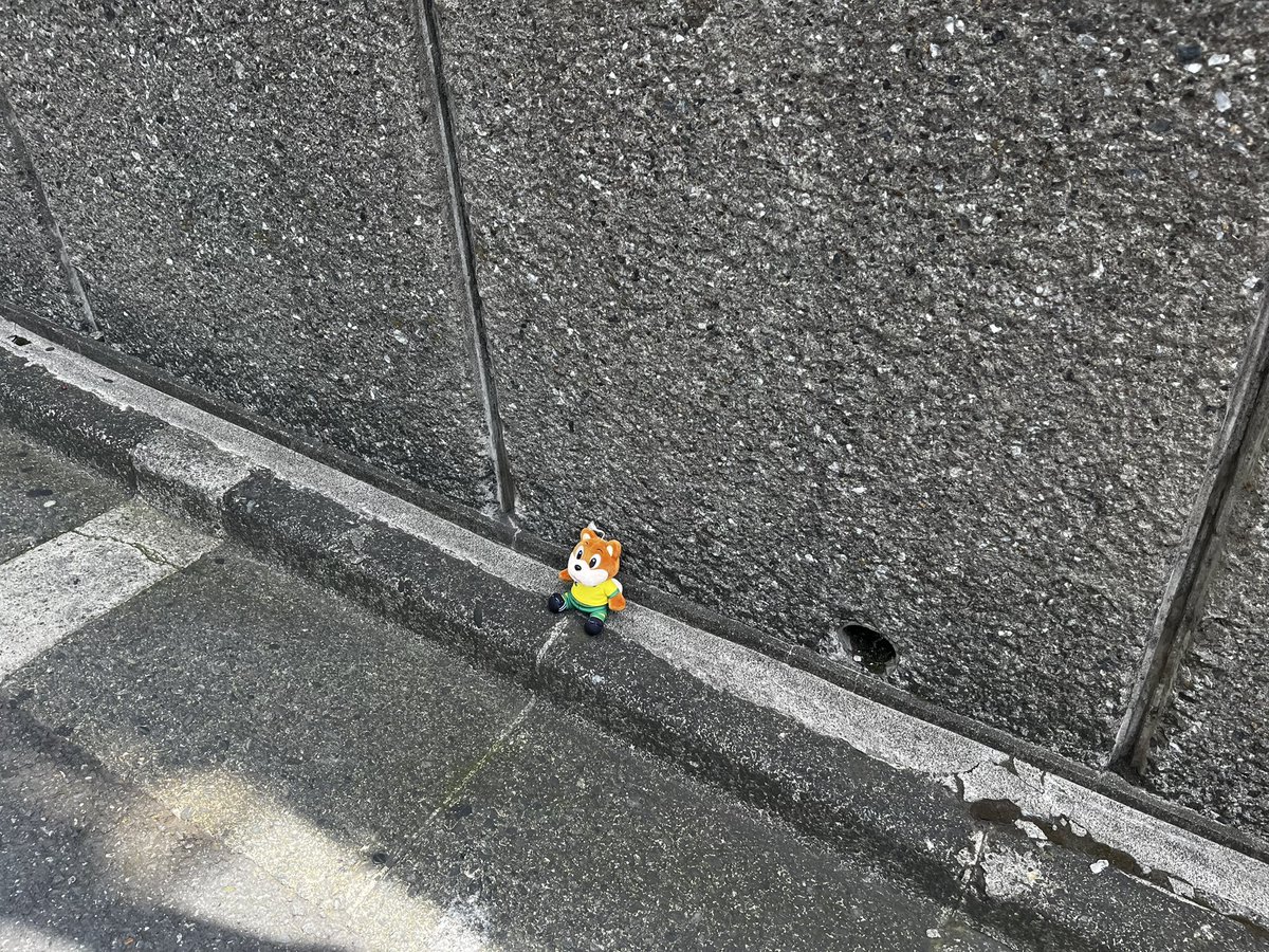 tokyo_oimo's tweet photo. 迷子のジェフィくんがいました。主さんは今日フクアリに出かけて行ったのでしょうか。(某都内急坂の上の方にいました)
ジェフ落とし物 https://t.co/A3wpVVKH7i
