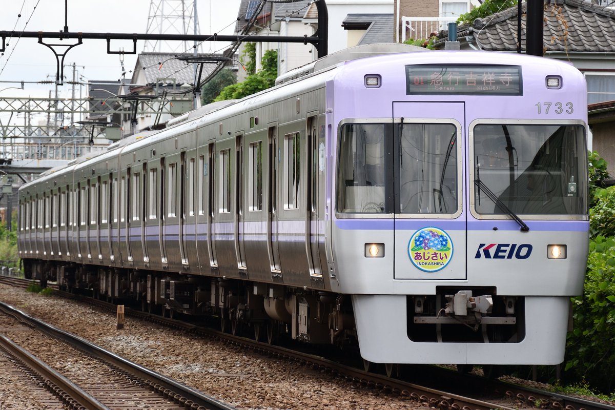 train6000's tweet photo. 5/27～6/3
京王井の頭線1000系
1783F(あじさいHM) https://t.co/iPGIcegLLK