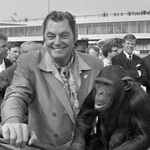 DULOGEN's tweet photo. ♥💪♥

Na današnji dan, 06. 06., 1904. - Rođen je JOHNNY WEISSMULLER - američki plivač, peterostruki olimpijski pobjednik, filmski glumac.

https://t.co/3AaFI1XLvu

♥💪♥ https://t.co/V22UvvjuQK