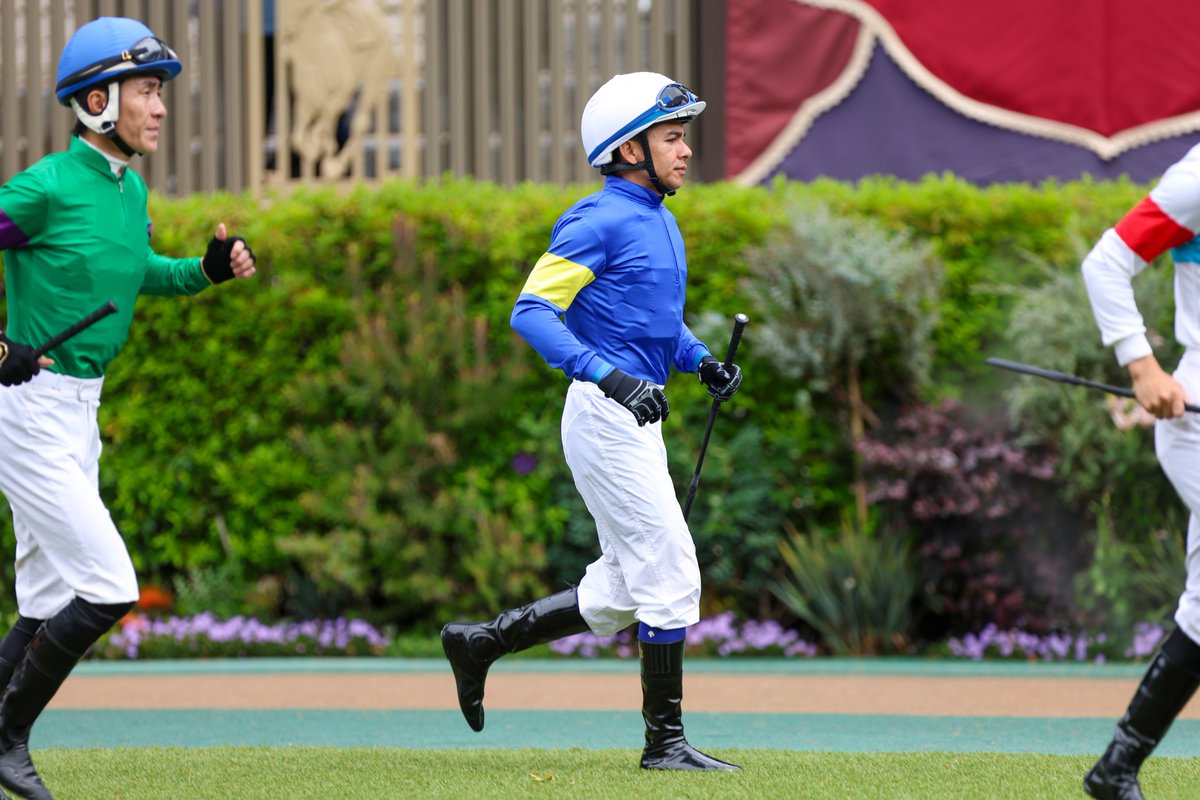 Orfe20122013's tweet photo. Francisco Goncalves🇧🇷🇦🇷 &amp; Artillery🐎
May 31, 2026, TOKYO 1R
1600m, Dirt, 3-Year-Olds, Allowance, 13th https://t.co/BRDR7ToKNq