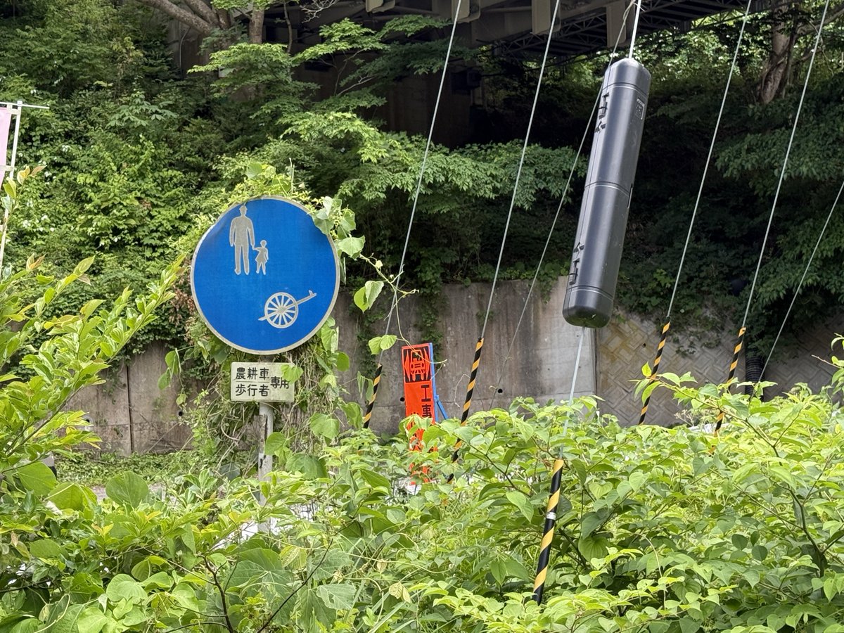 masuomickey's tweet photo. 福島県 会津若松市
農耕車&amp;歩行者専用標識

激レアだと思われる
一般的には歩行者と自転車の絵柄が主流だが、こちらは自転車の部分が大八車の絵柄になっている https://t.co/RUHE3K2yVb