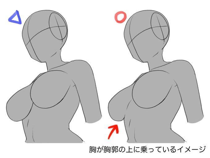 pixelvaultst's tweet photo. ❌➡️⭕ A small change that makes the chest look much more natural ✍️
Think of the breast resting on top of the ribcage, not floating away from it 👀🔥 https://t.co/YYQdHw7n7X