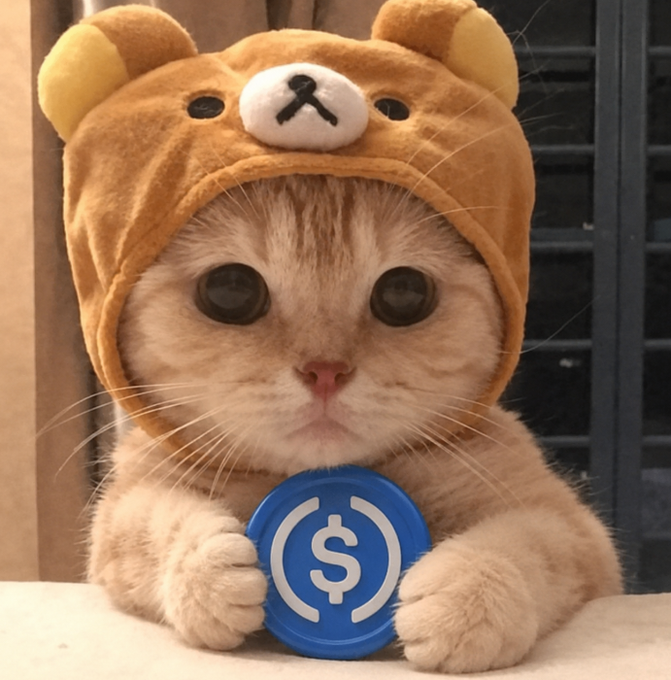 Junior_dot_'s tweet photo. Everybody is waiting for a healthy USDC runner.

$ber will be the catalyst for the rotation. https://t.co/cUuFOHKcEr