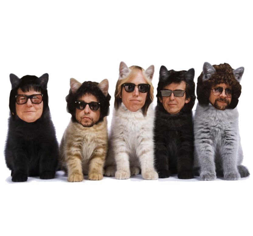 dailygeorgecat's tweet photo. https://t.co/LCDtlyqkJE