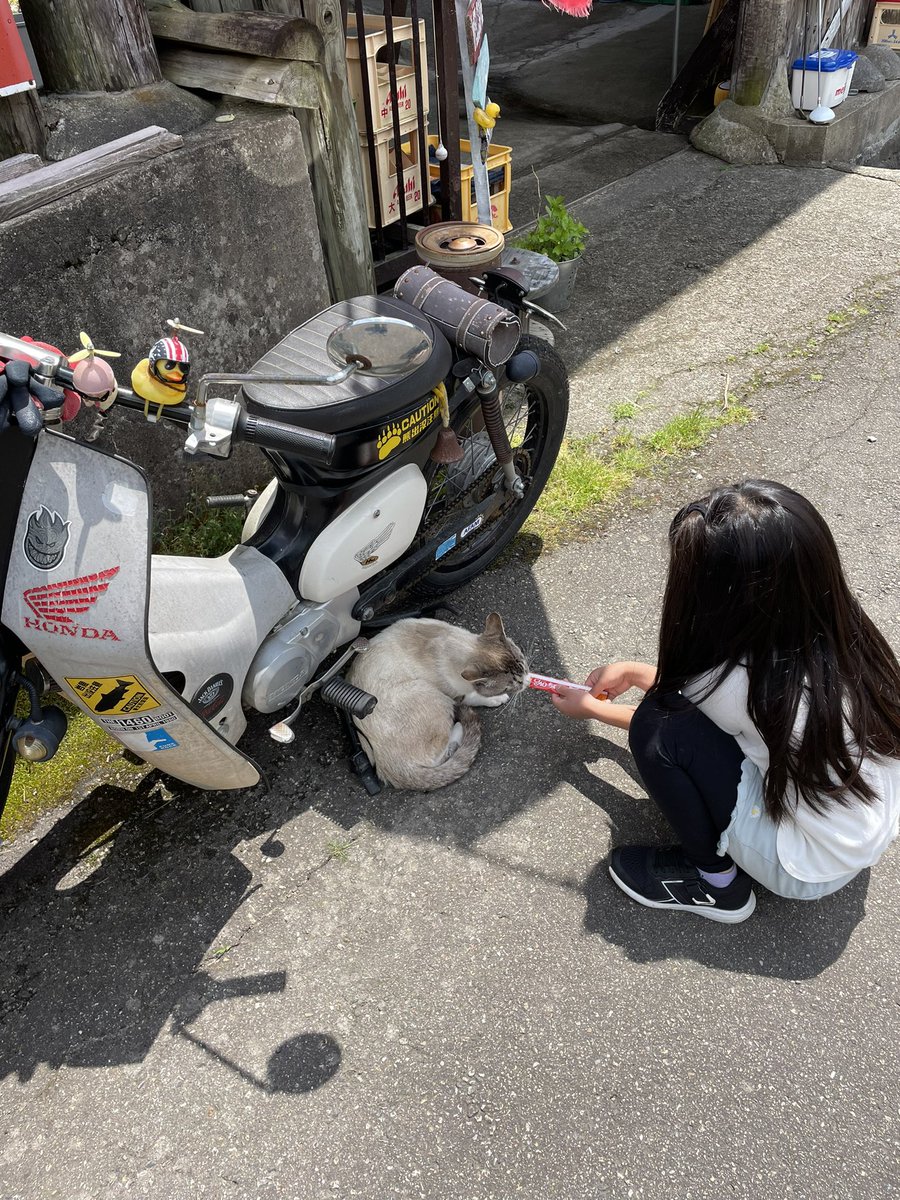 sumitsukai's tweet photo. 今日は、今シーズン初の
東北釣堀苑に行って来た。

娘も上達して、いつの間にか
イワナを大量に釣っていた。

クマの影響で、川釣りの人
（釣れないと釣堀に来る人）
が少なくなったり、
山菜取りも危険だったり
（山菜料理が出せない）
など、いろいろ大変な
話を聞いてきた。 https://t.co/NzYfp6YLWE