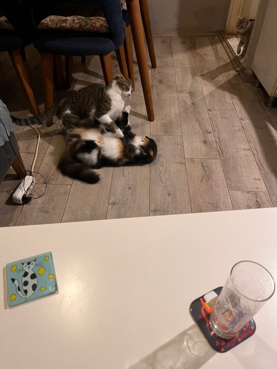 annesininboncuk's tweet photo. Dünki annici mesajları dilper kocamın azısından yasmış arkadaşlar bilginise imtikam alımtı @Maki9can https://t.co/ooIXlzmlWz