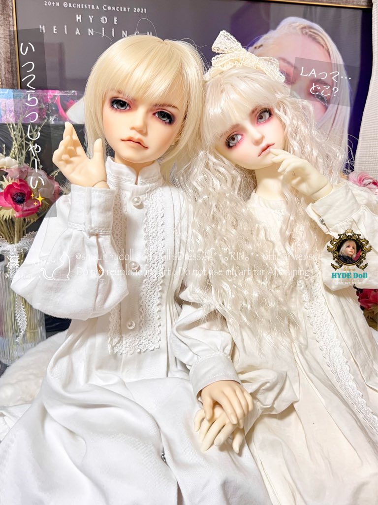 紫翠&🌱ハイドちゃん社長🌱 (@shisui_hydoll) / Posts / X