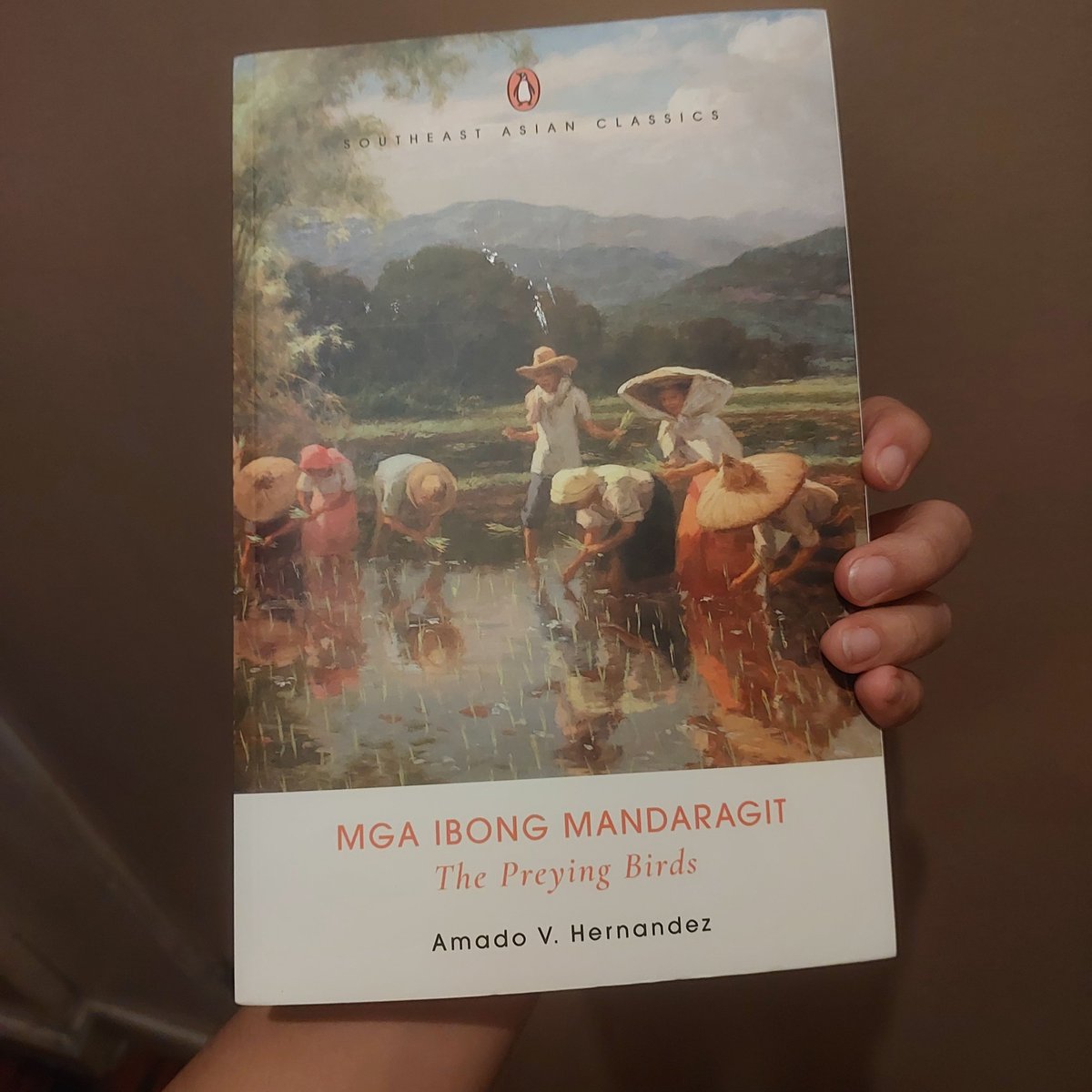 bookishmirror's tweet photo. elite book pull today.......... https://t.co/IMRSA2G7mY