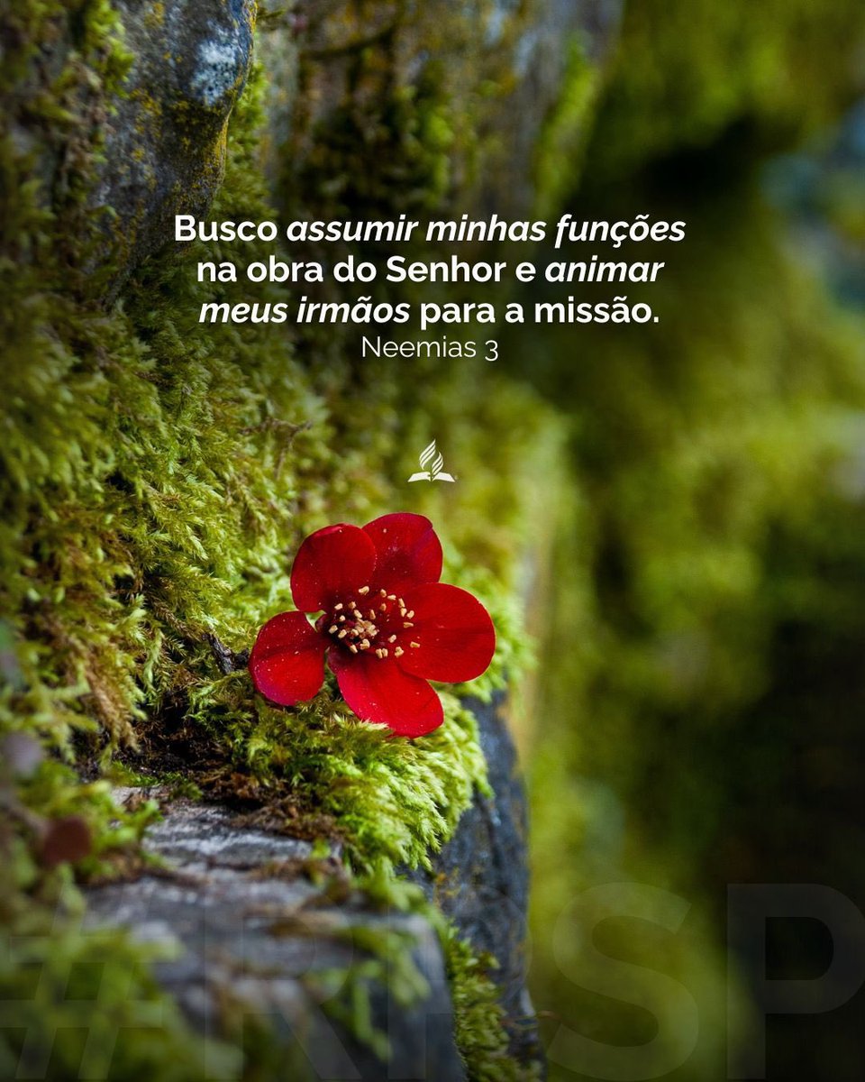 PrErzonA's tweet photo. #Neemias3/ A organização de Neemias foi fundamental para o sucesso da reconstrução dos muros de Jerusalém. Ele conseguiu mobilizar todos os trabalhadores de acordo com suas habilidades e locais de residência, garantindo que a tarefa fosse executada de forma eficiente e segura. https://t.co/zcZEQAV715