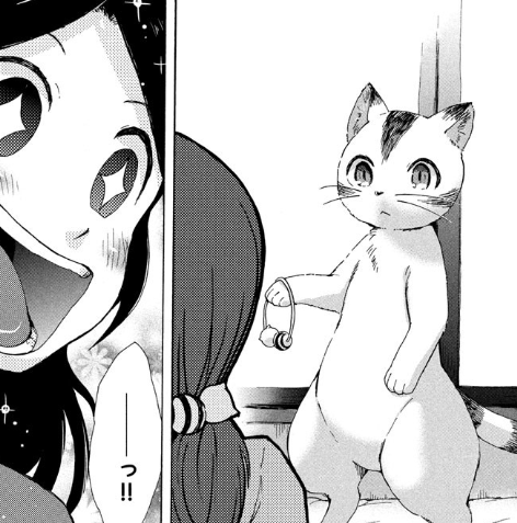 NekotaBact's tweet photo. お祈りしたら立てるようになっちゃった猫 https://t.co/vL0KzDxgu3
