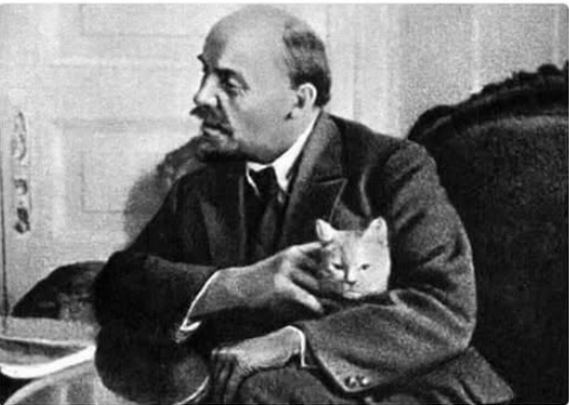 icardo8's tweet photo. Comparte este Lenin de la abundancia, para que nunca te falten gatitos, ni conciencia de clase. https://t.co/zzmKWHLtmD