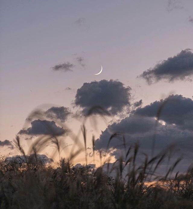 Lilyy⋆𐙚⁷ |heesunjune❣ tweet media
