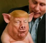 MoForoughi's tweet photo. @DogTagg247 I look after you piggy. https://t.co/pISEMUszJx
