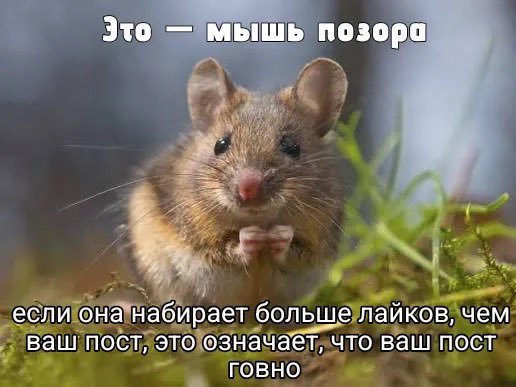 ded_reborn's tweet photo. @kukla_perduna https://t.co/541QmCPw9y