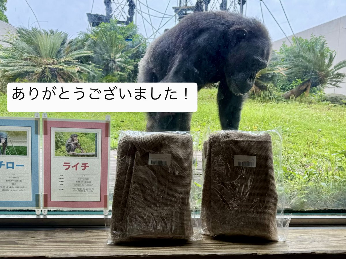 hirakawazoo tweet picture