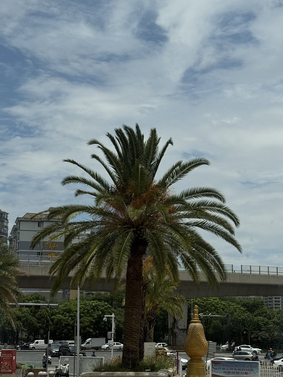 fatesummer_ tweet picture