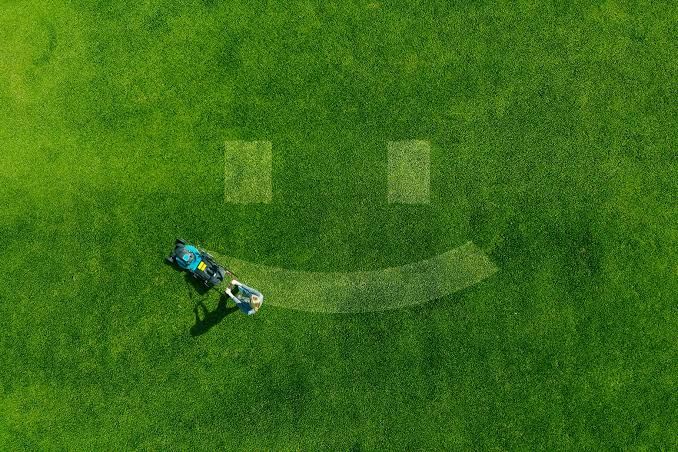ODominion54900's tweet photo. Gonna be touching grass today guy and I think y'all should too💚 https://t.co/q85MJOC9Ua