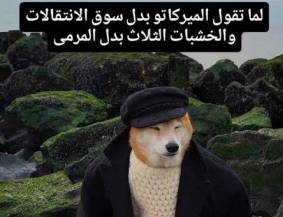 F16w1x's tweet photo. @salih2033 اموال: https://t.co/YGsSEEbs71