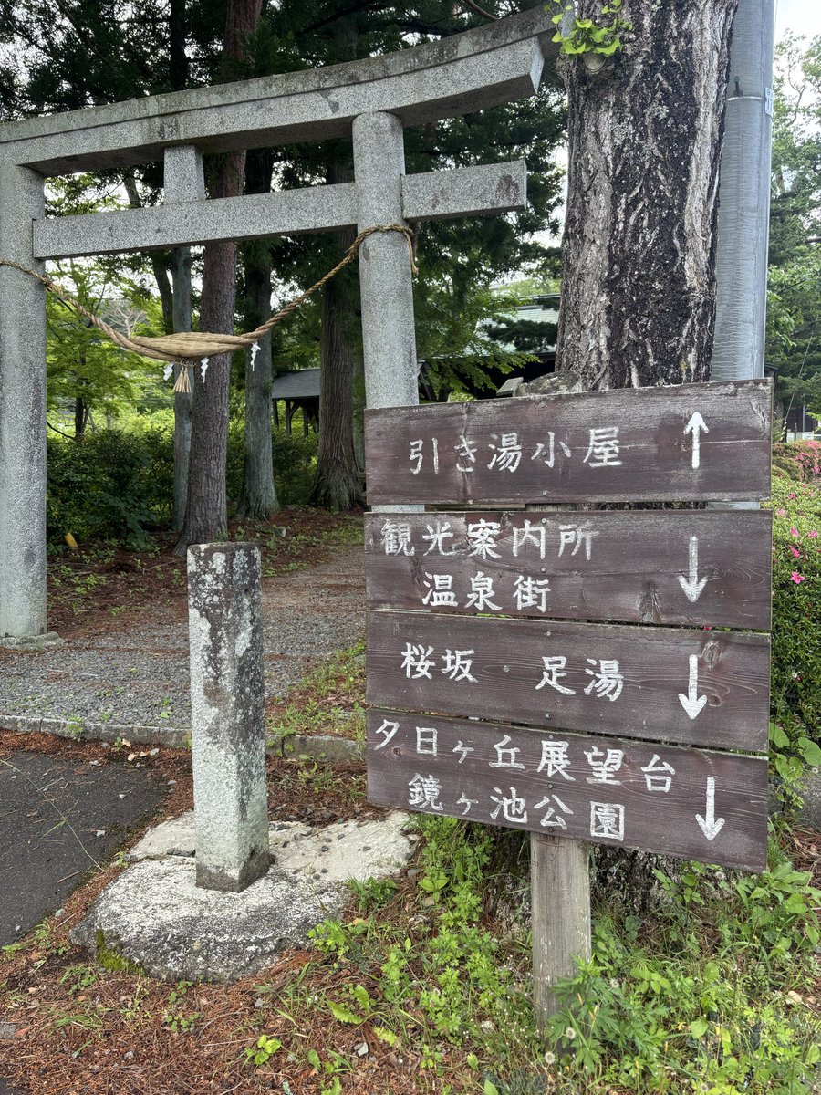 _zoo's tweet photo. 散策中 https://t.co/ytDeSp0uHU