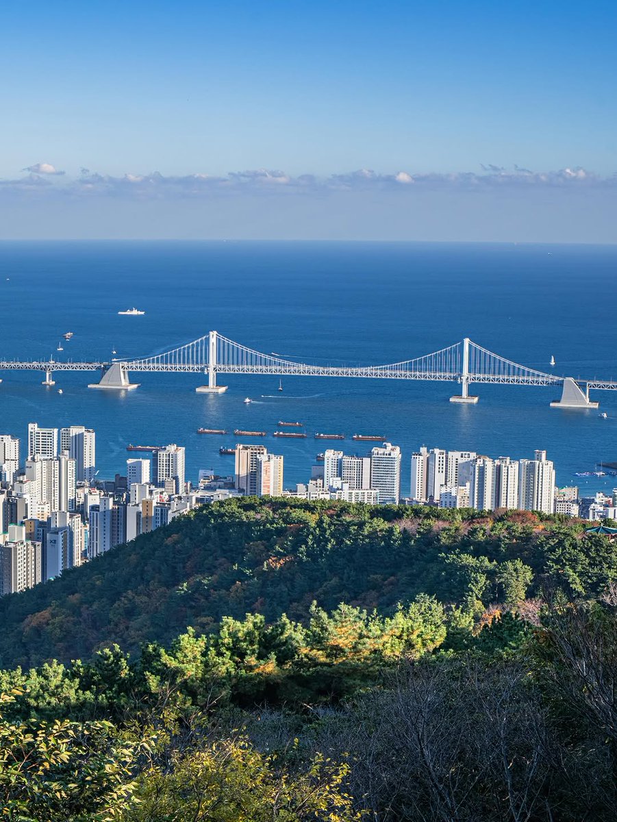 Pretty Cities tweet media