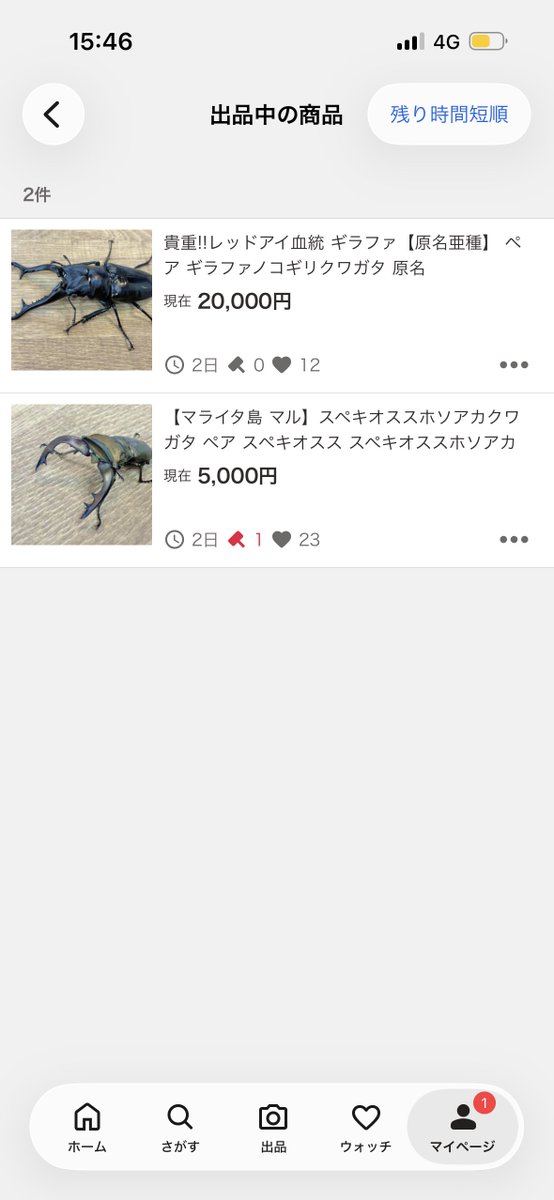 再出品ページ あと数時間で終了します。 よろしくお願いします🙇‍♂️