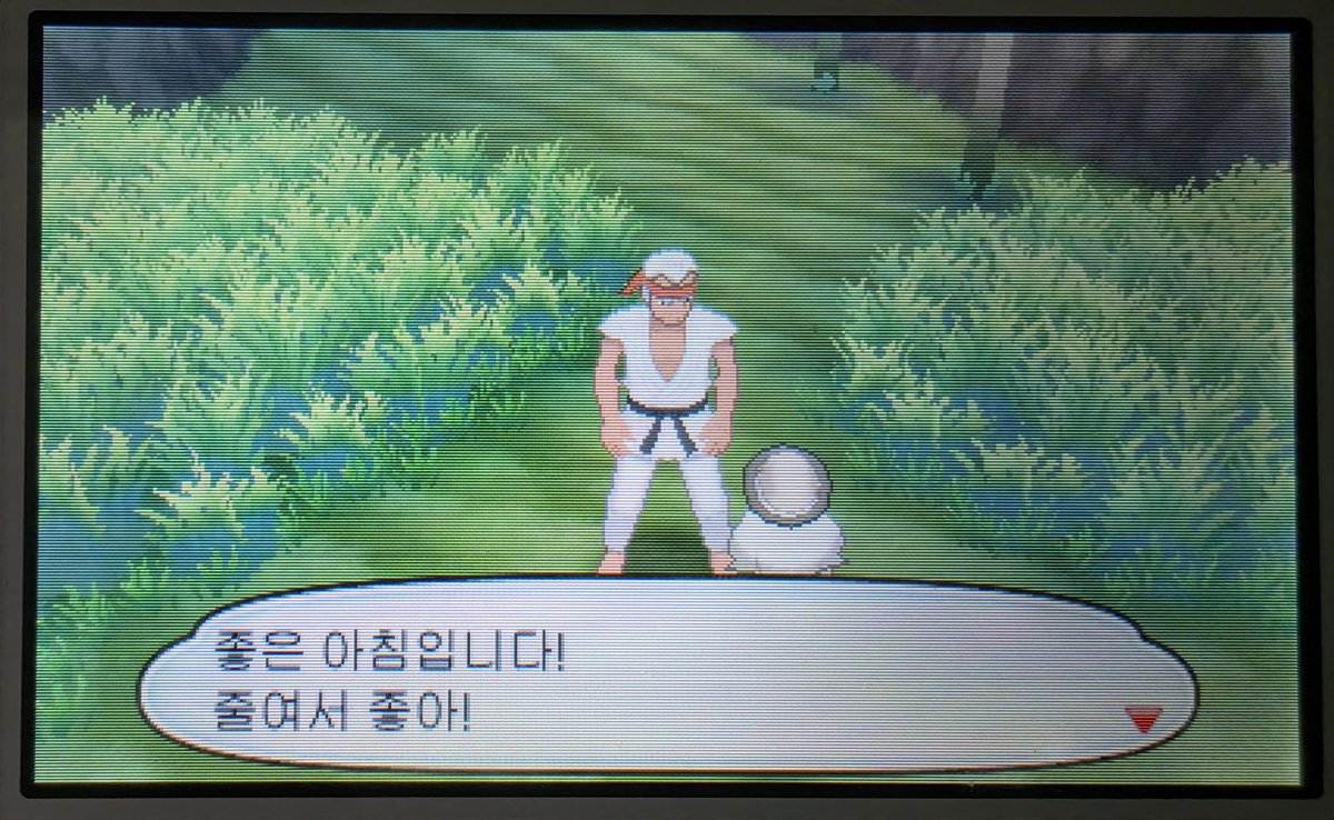선량한트레이너 tweet media