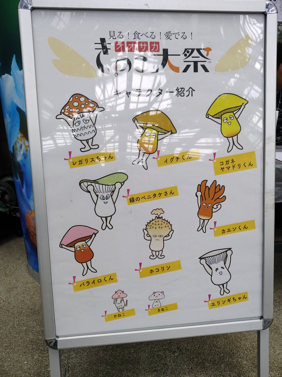 non_rinne's tweet photo. 盛りだくさんで今年も楽しかったです！一足先に帰ります～🍄‍🟫
#オオサカきのこ大祭 https://t.co/fmczxgVMPA