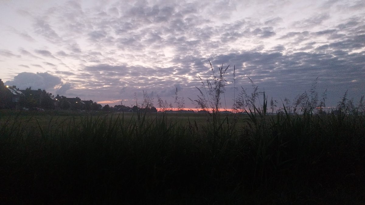 bengel_peter's tweet photo. πββοΈβοΈππ
Goedemorgen, fijn weekend iedereen π
#Vanmorgen #ThisMorning https://t.co/QLm9sQfGfZ