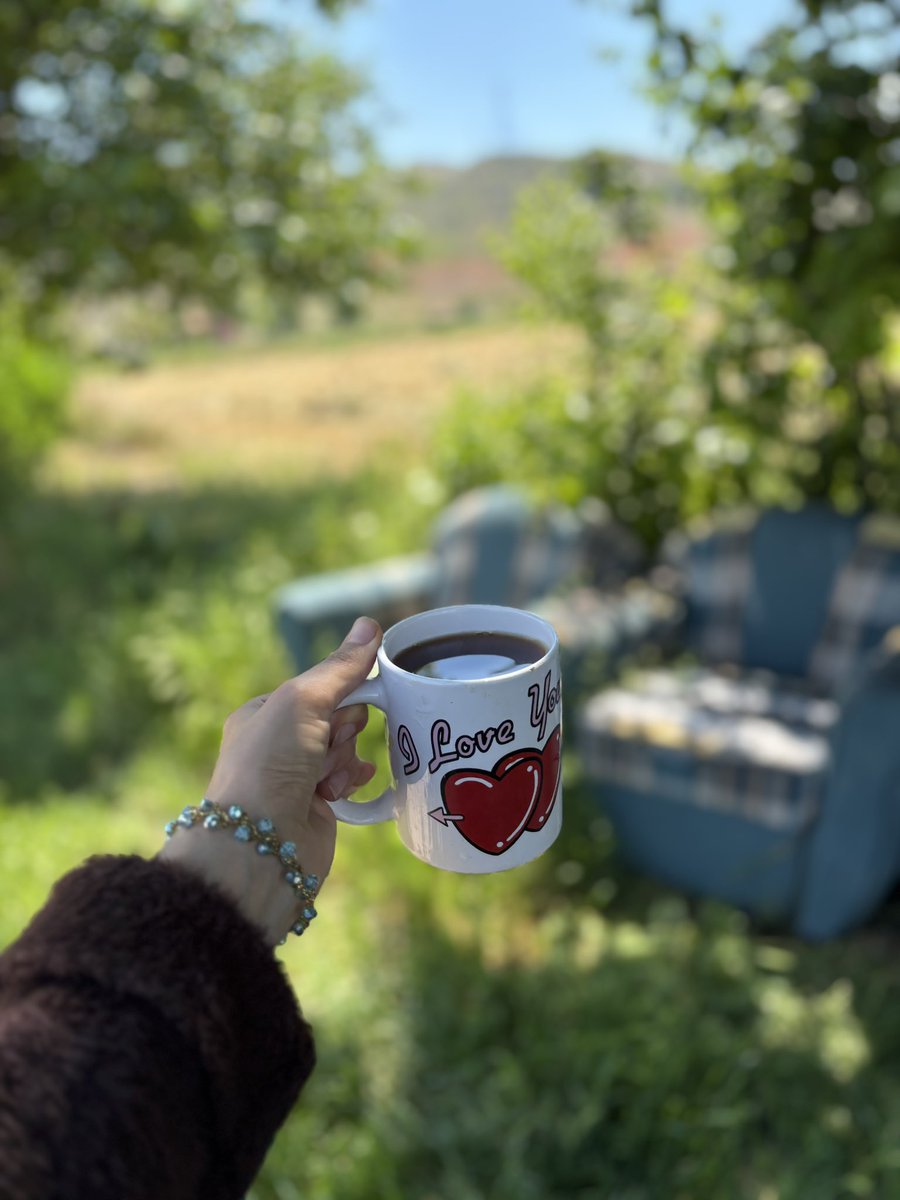 morvilantaaa's tweet photo. Çay love you mu diyorduk 🫠🥳🍃🌳 https://t.co/F6WJqsSs1L