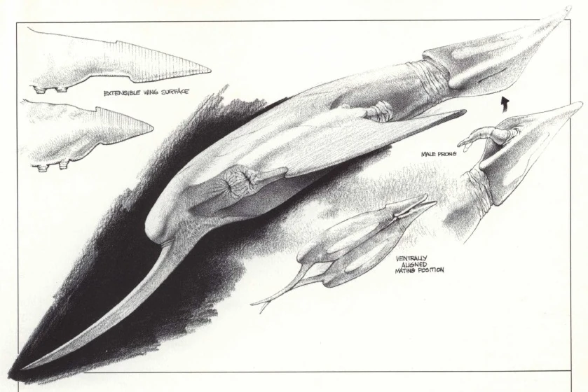 SnoreDollar's tweet photo. The flying jet things remind me heavily of something from Wayne Barlowe's works such as expedition's skewers. 

They also seem to have the exact same biological function too which makes me more excited. https://t.co/u7PTyINy06