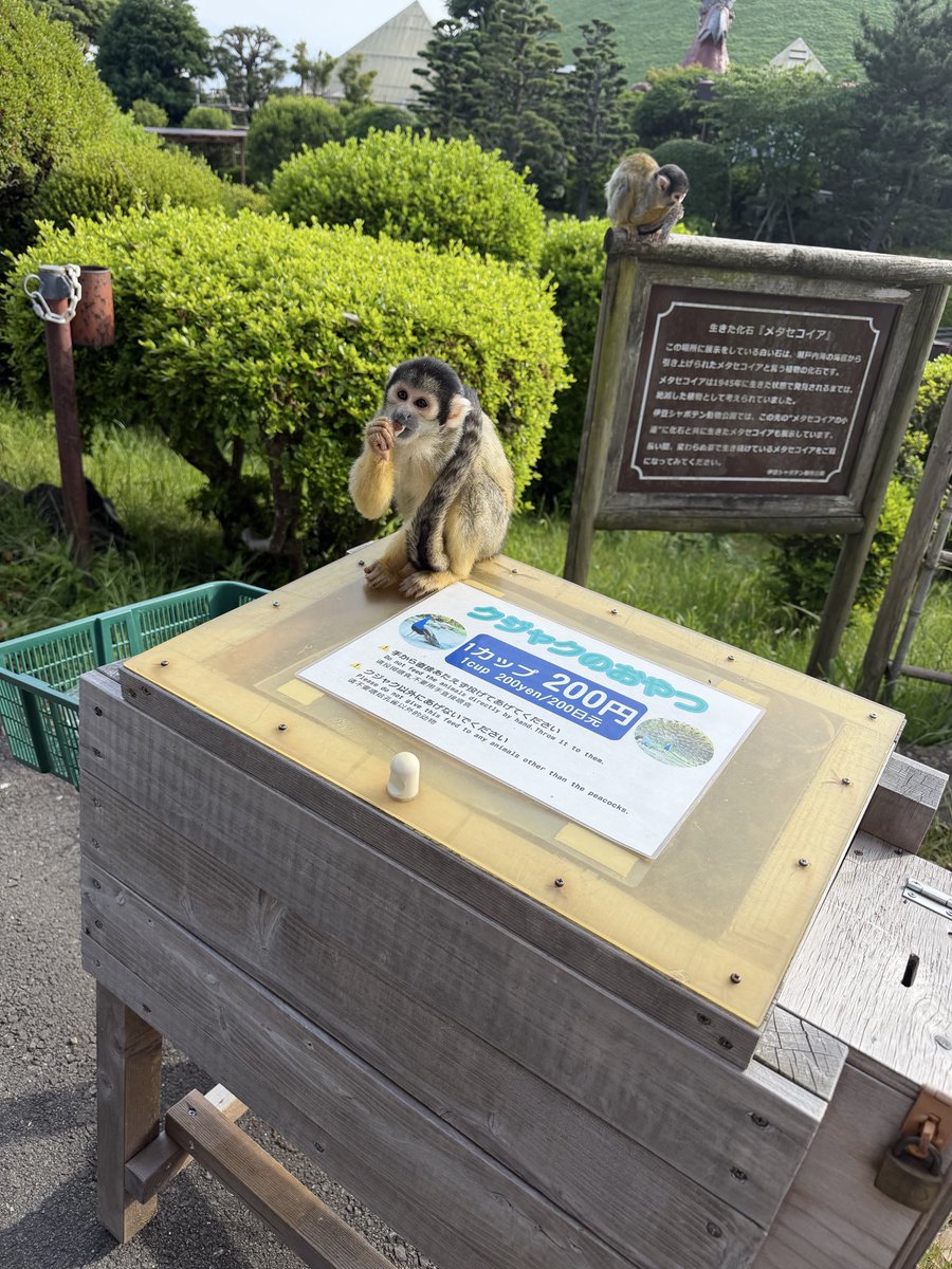 TKC_0168's tweet photo. この動物園一般通過動物多すぎるw https://t.co/nHS9wsMCUH