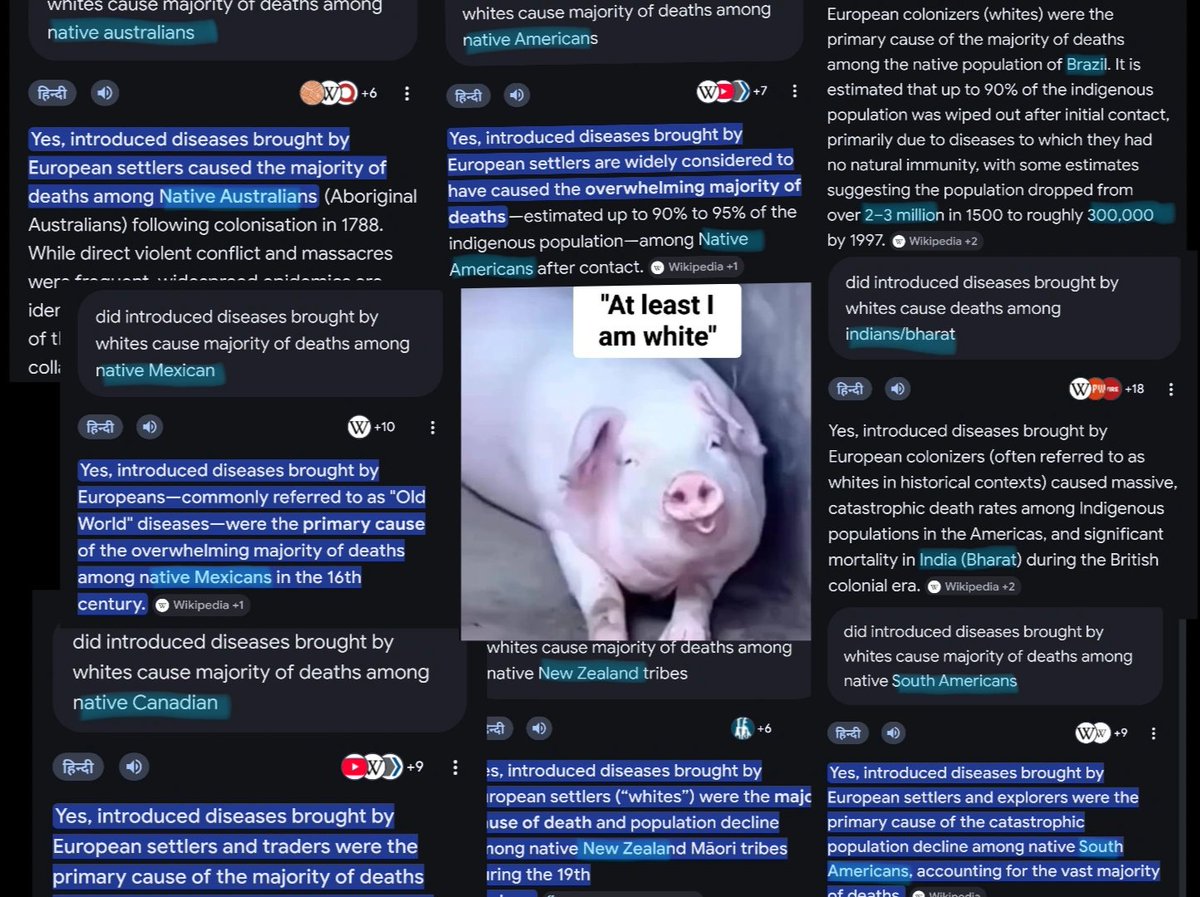 Mleechasslayer's tweet photo. @fionn_grah94995 @Realdarkvibes @Deepaklawde Do i honestly have to reply to "No he is not cuz I'm am not from America" considering both Canadian and Americans are same filthy race who slughtered natives by spreading their Filthy disease?? -IQ supremacy moment https://t.co/AJ0lOI3DaT