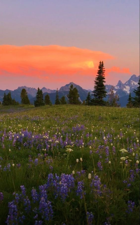 _Naturaee's tweet photo. breathing in the fresh mountain air. https://t.co/oBhYRtSSAU