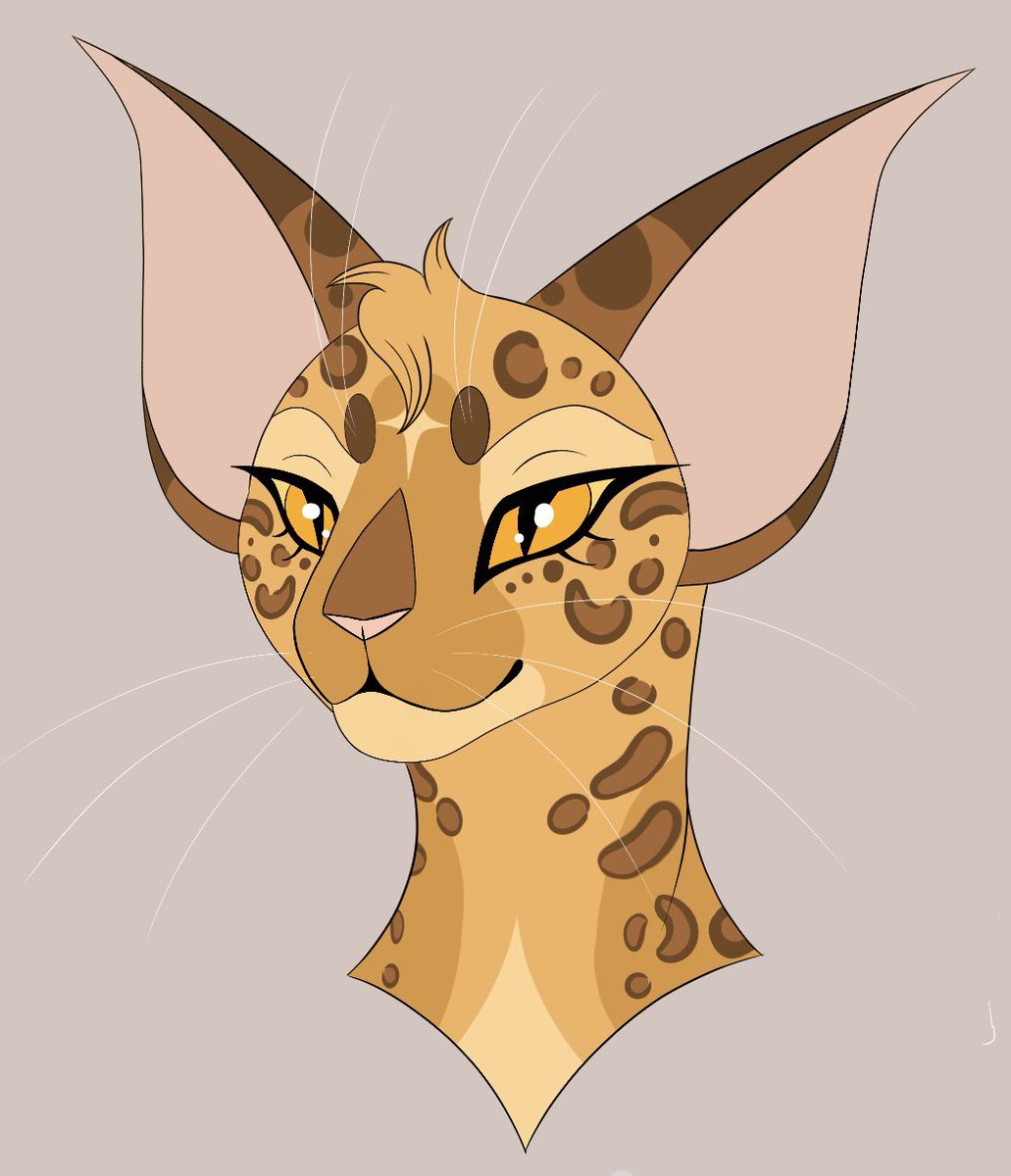 it_p_a_l_e's tweet photo. I still really like how this Leopardstar design came out https://t.co/5k8JBlJRFk