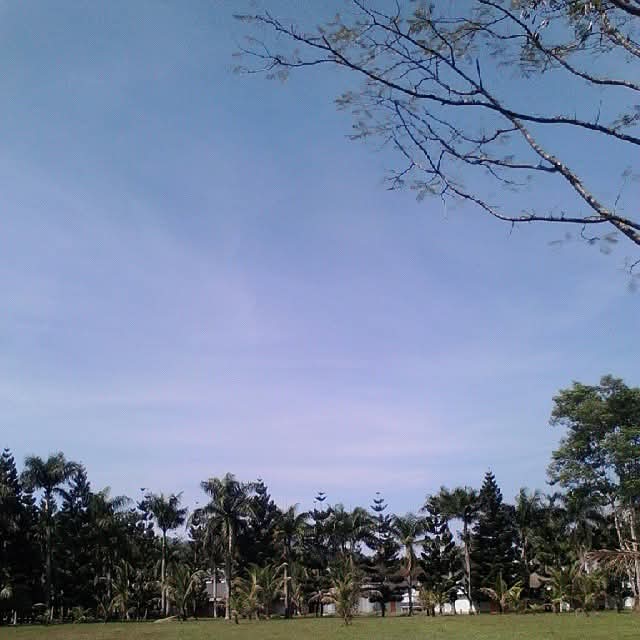 Tyas tweet media