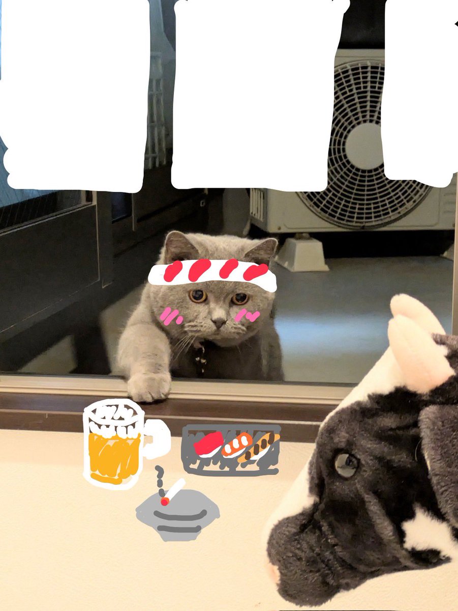 dotnuko's tweet photo. ＼ﾍｲｵﾏﾁ!／ https://t.co/AtDzwR8VFa