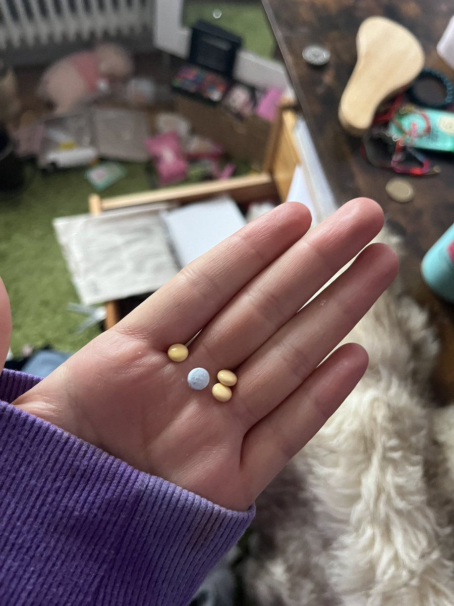9Opounds's tweet photo. I FOUND A STRAY XAN https://t.co/2YE6BJMOJ6