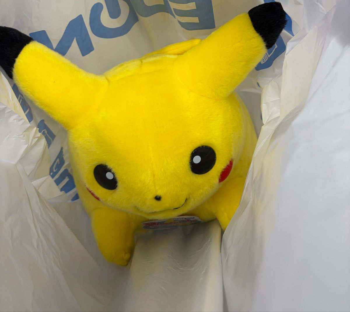 pers_keyman's tweet photo. おかえりピカチュウお出迎え
外箱何にも無いしこれから美容院なの死んだ https://t.co/zHJM5AGlA3