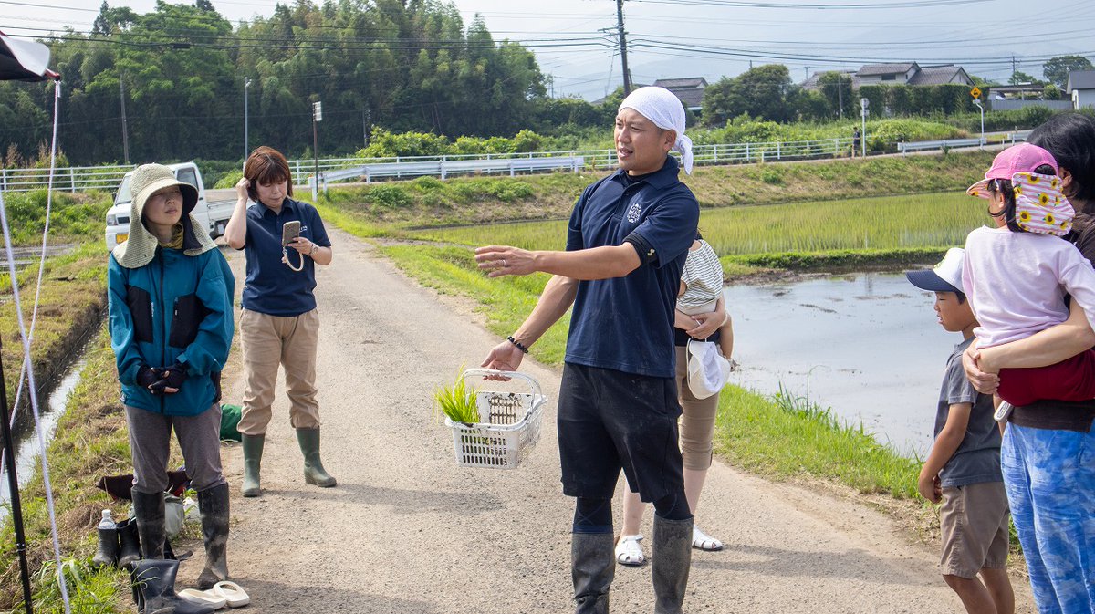 HitokumaCH's tweet photo. あさぎり町で、#komeitoの田植え体験 が開催されました。
裸足で田んぼに入り、泥の感触を楽しみながら苗を植える時間。
普段なかなかできない体験に、自然と笑顔が広がっていました。
田んぼを通して、自然や食、地域とのつながりを感じられる一日になりました。
#熊本 #人吉 #あさぎり町 https://t.co/Lv3VLRIBn5