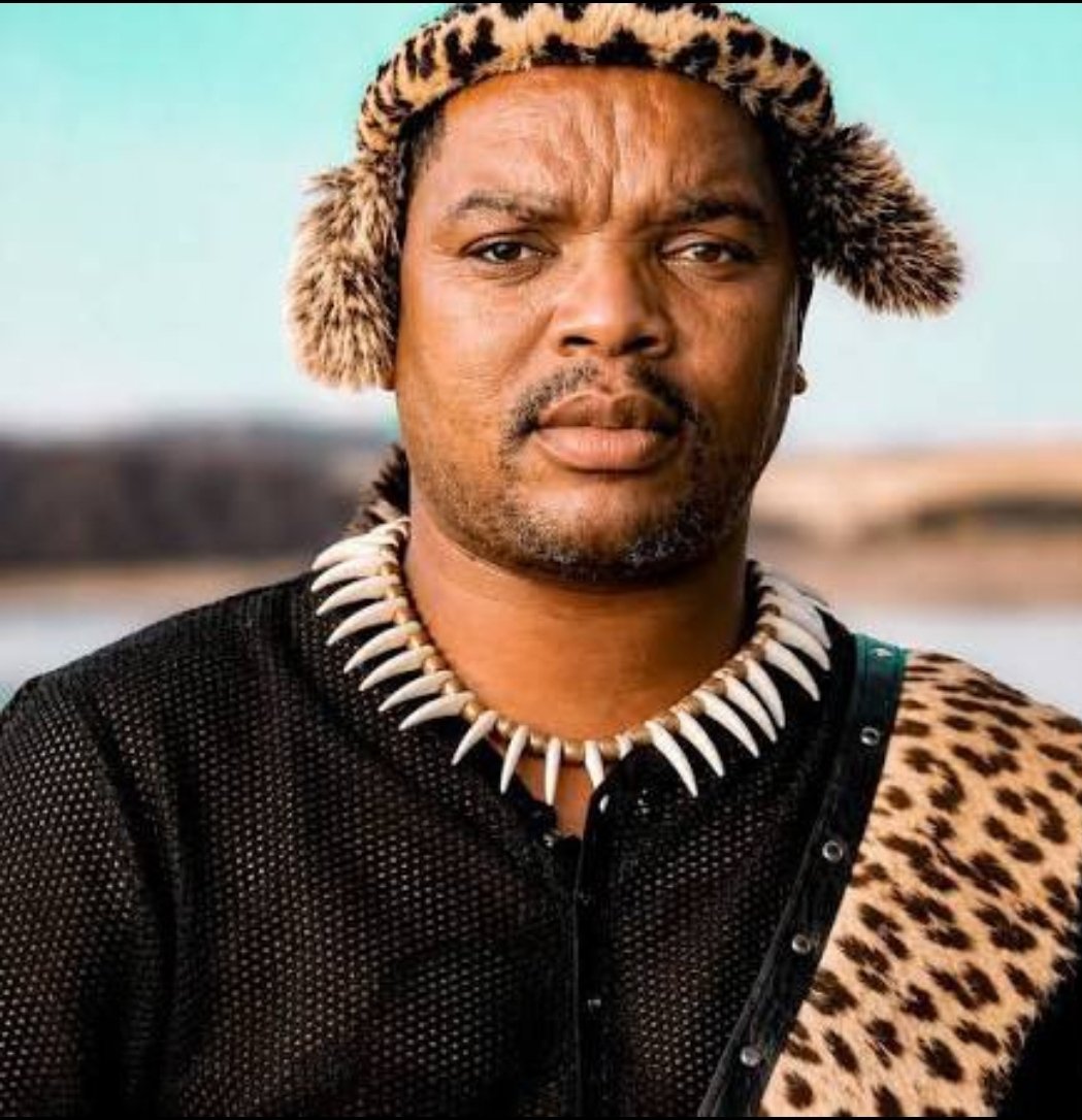 Simon_Sithole20's tweet photo. South Africans 🇿🇦  stand with Ngizwe Mchunu❤️ https://t.co/qU2k4U2Pm7
