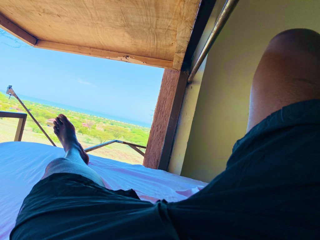 Peru Nomad tweet media