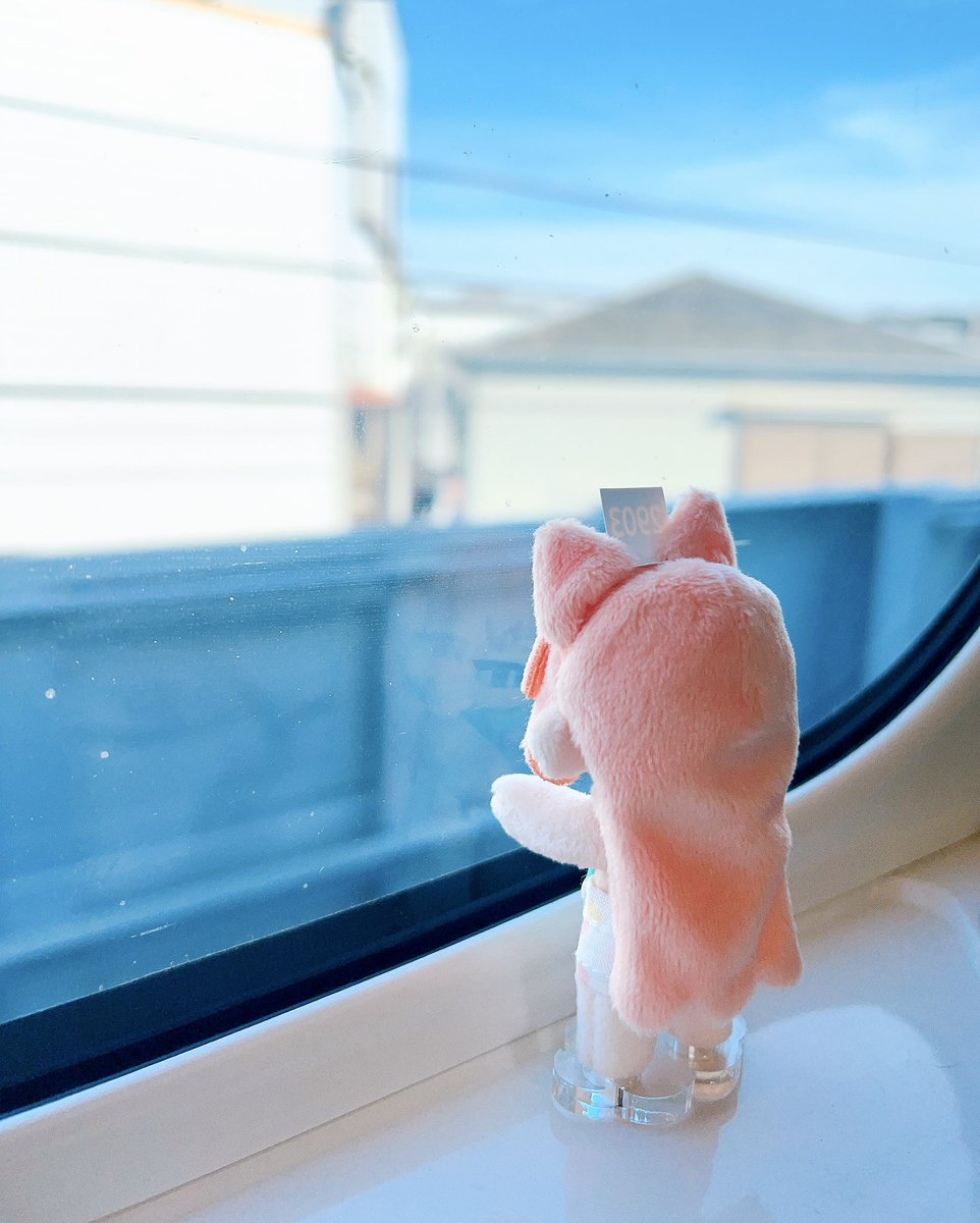 kawaiinee_puni's tweet photo. https://t.co/JbNlm4uRax
