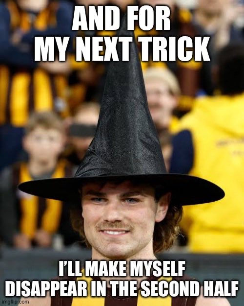 _F0XHOUND's tweet photo. #AFLHawksDogs https://t.co/Z1lJZgi2Bg