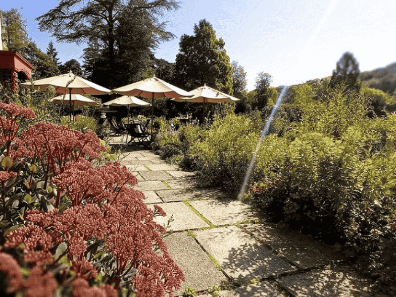 parcdecleres's tweet photo. Dans le cadre de "rendez-vous aux jardins", venez explorer la diversité botanique des collections du parc de Clères 🌸🌼🌺💮

Compris avec l'entrée du parc

Réservation sur notre site :
Ce samedi 06 juin : https://t.co/vCiG9vLGfn 
Ce dimanche 07 juin : https://t.co/wLC0mAunZk https://t.co/OyRYeFgTH0