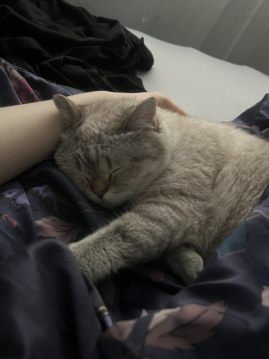 teedaep's tweet photo. i miss my babyyyyy https://t.co/bd88TS3Qbv