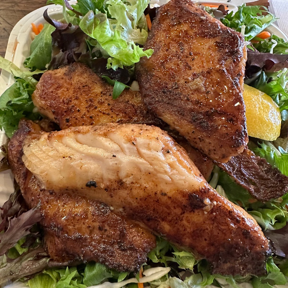 coldcorporation's tweet photo. Aloha plate all salad. $9 https://t.co/NdThzaqHdZ