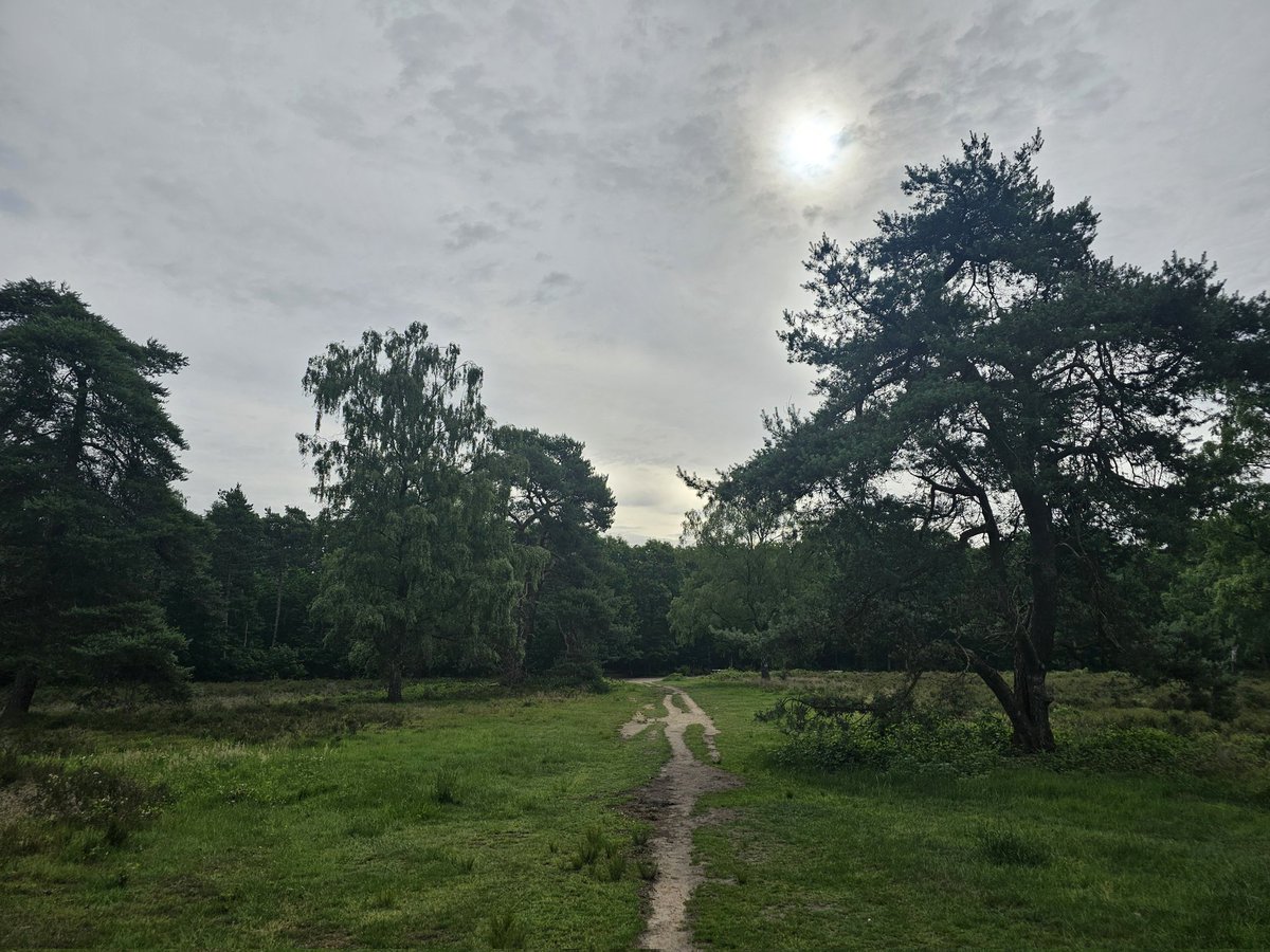 GeurtRoekel's tweet photo. Goedemorgen,de dag begint met een waterig zonnetje prettig weekend allemaal!🌞🐕🚶#Bennekom @BuienRadarNL @pictureofNL https://t.co/B2dbHO0V1V